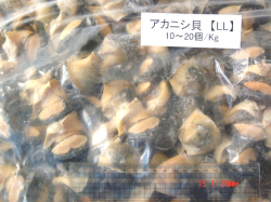 �����˥���(���񤵤���)LL 10kg�� ��1750��/kg��
