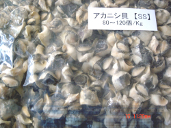 �����˥���(���񤵤���)SS 10kg�� ��1200��/kg��
