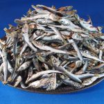 うるめいわし煮干し 小