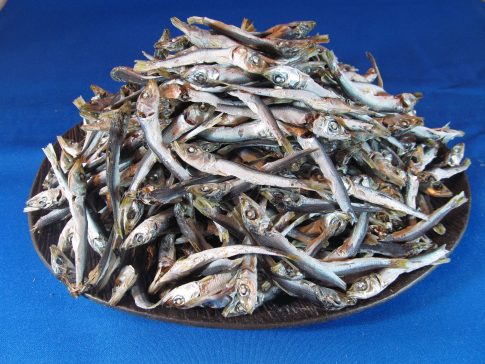 うるめいわし煮干し 小