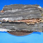 利尻昆布 1kg
