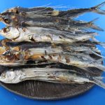 あご煮干し【京都産】