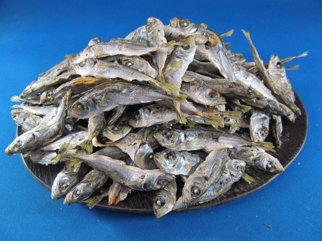 アジ煮干し 小 1kg