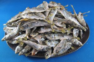 アジ煮干し 小 1kg