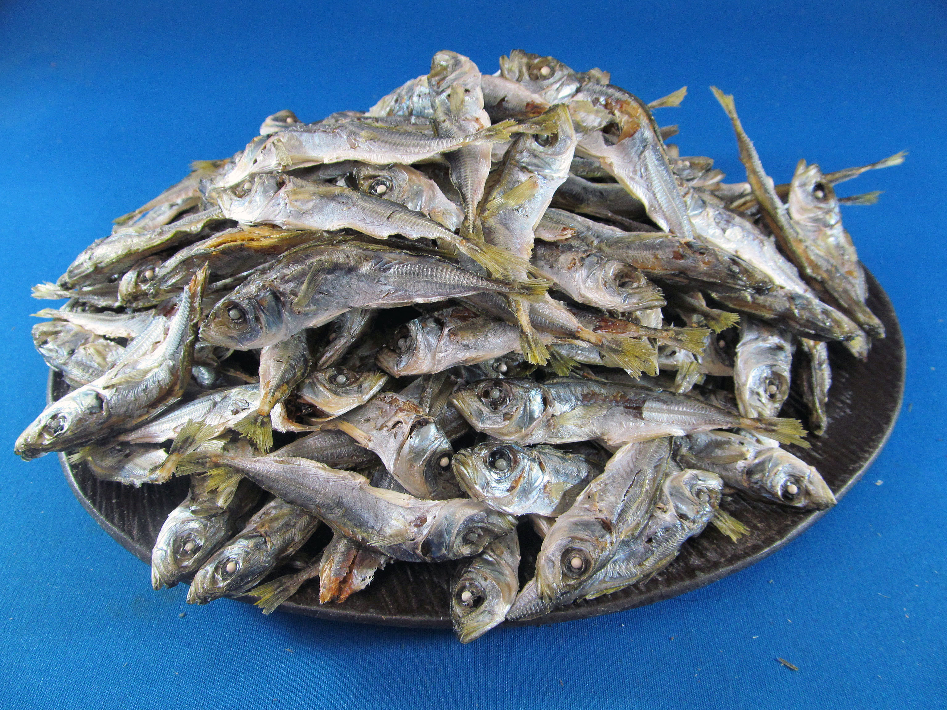 アジ煮干し 小 1kg