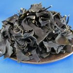 根昆布 1kg