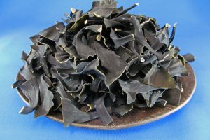 根昆布 1kg