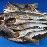 カマス煮干し 1kg