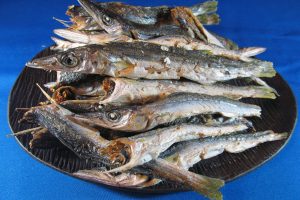 カマス煮干し 1kg