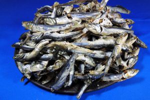 煮干しいわし(うるめ・平子混り：牛深) 1kg