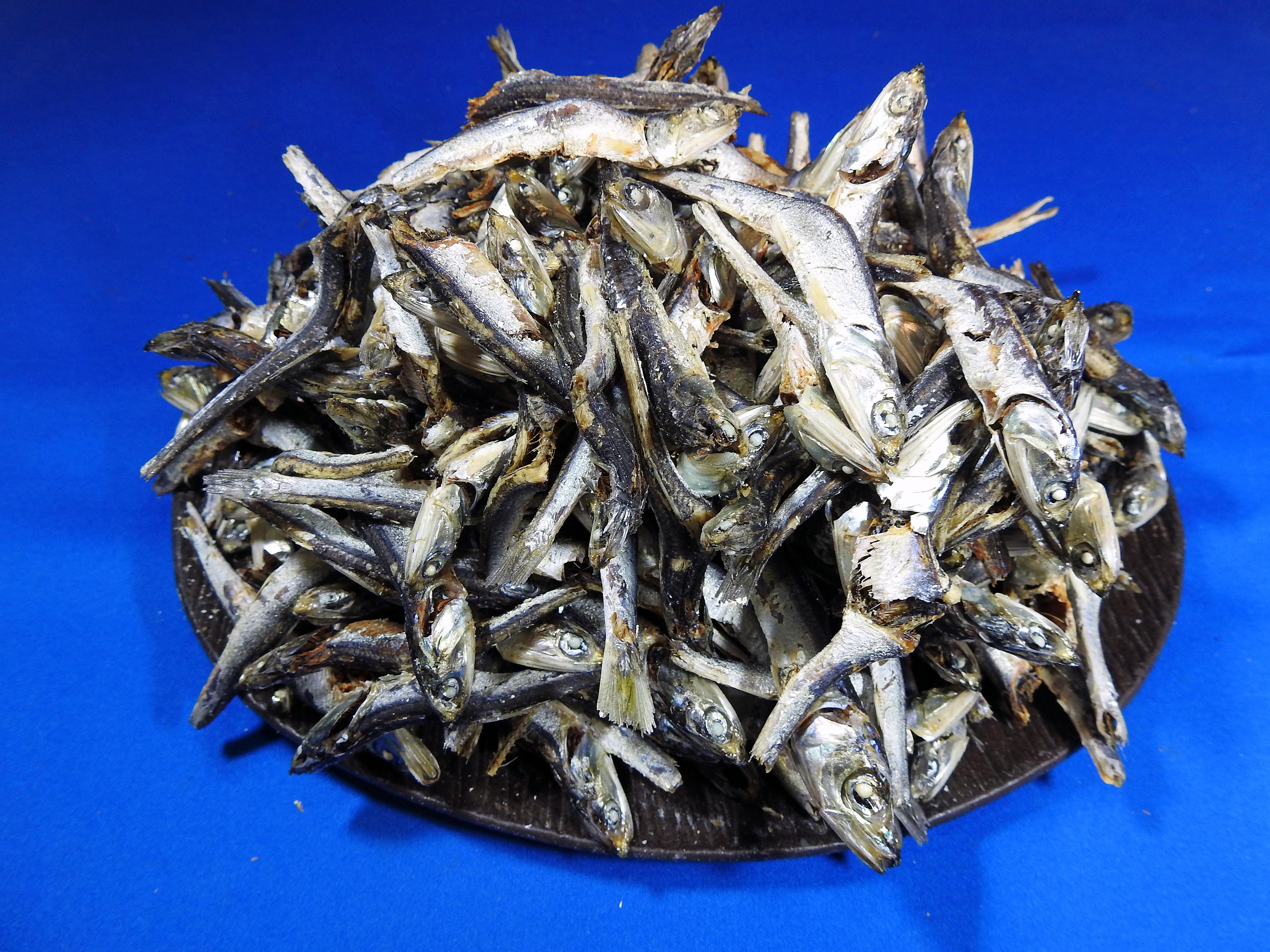 煮干しいわし 中羽(長崎) 1kg