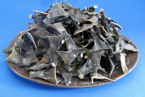 根昆布(羅臼) 1kg