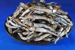 煮干しいわし(瀬戸内) 上 1kg