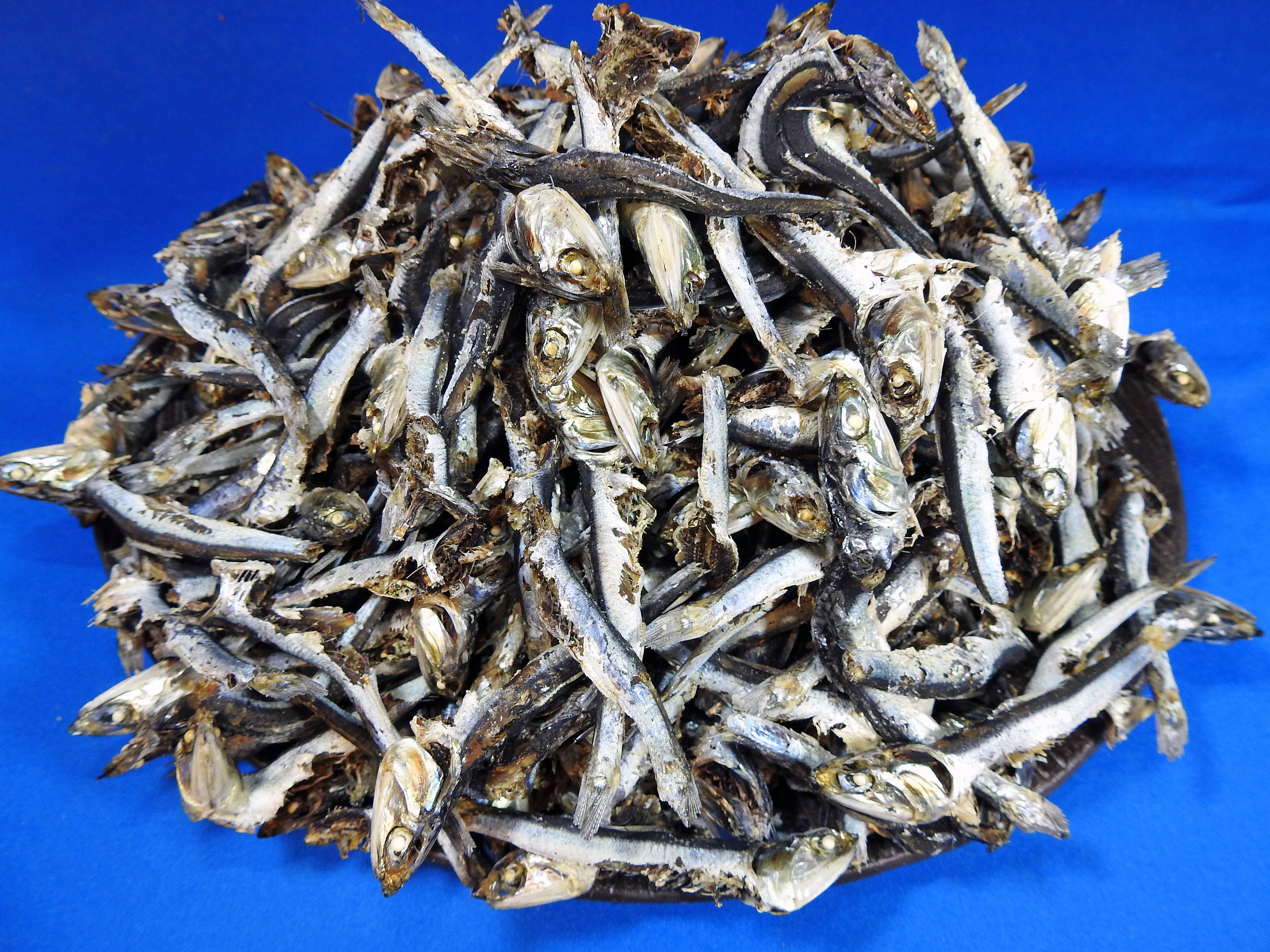 煮干しいわし(牛深) 1kg