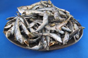 さば煮干し 1kg