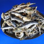 【訳あり特価】平子煮干し(いわし・うるめ混じり) 1kg