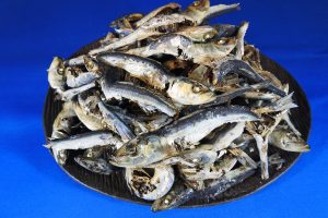 【訳あり特価】平子煮干し(いわし・うるめ混じり) 1kg