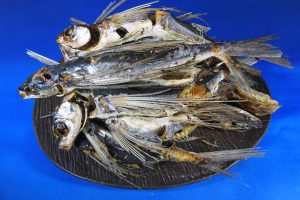 あご煮干し(石川産) 7.5kg