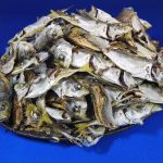 アジ煮干し 小 1kg
