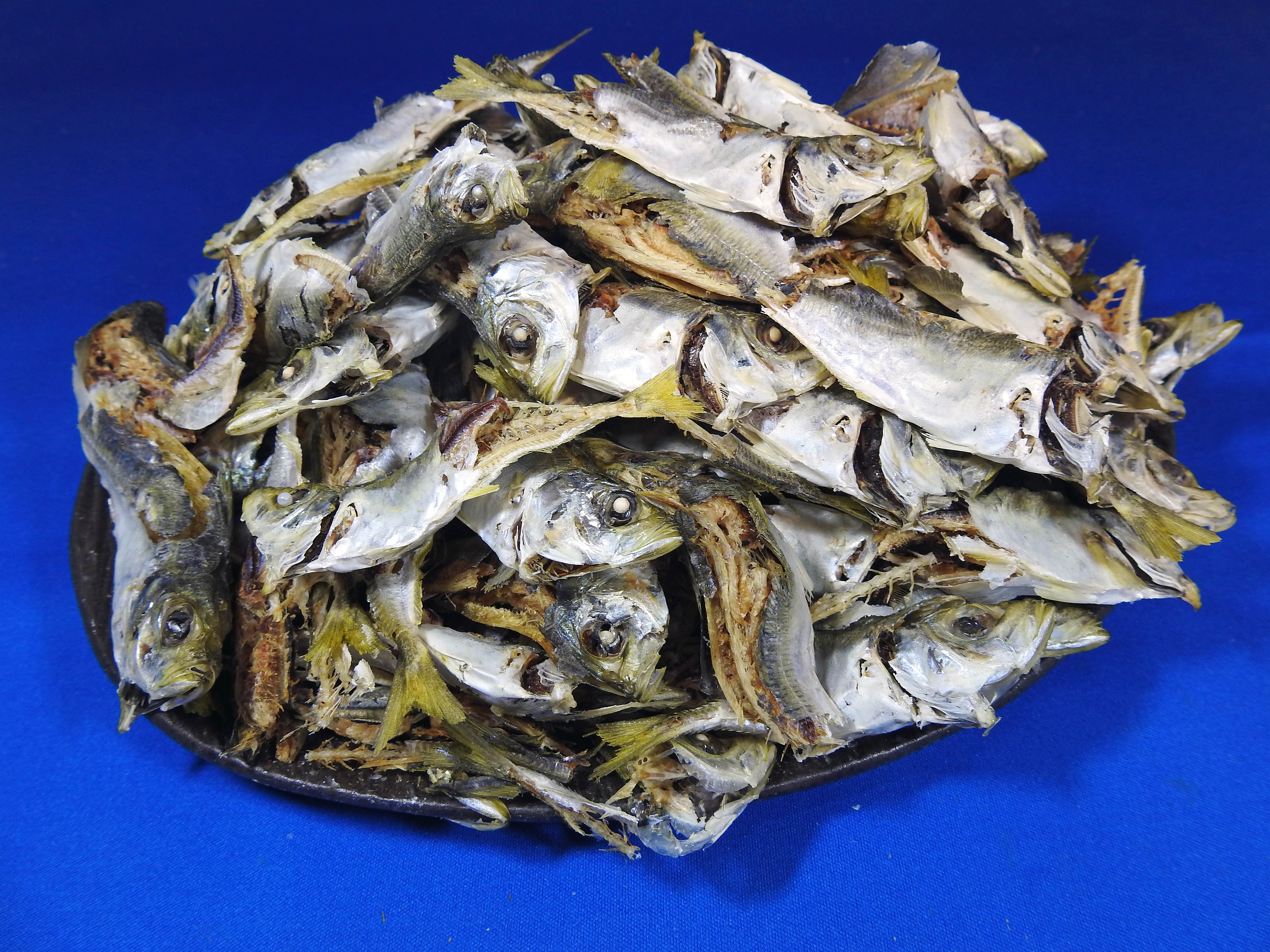 アジ煮干し 小 1kg