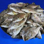 鯛煮干し 小 1kg