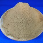 かつお節パウダー 1kg