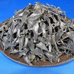 根昆布(利尻) 1kg