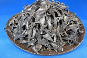 根昆布(利尻) 1kg