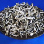 煮干しいわし(平子混：長崎)