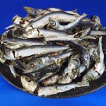 うるめ煮干し(平子・タレ混) 9.5kg