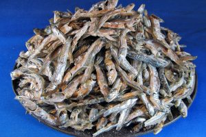 煮干しいわし(長崎) 白タレ 1kg