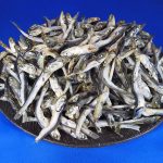 煮干しいわし(大分) 上 5kg