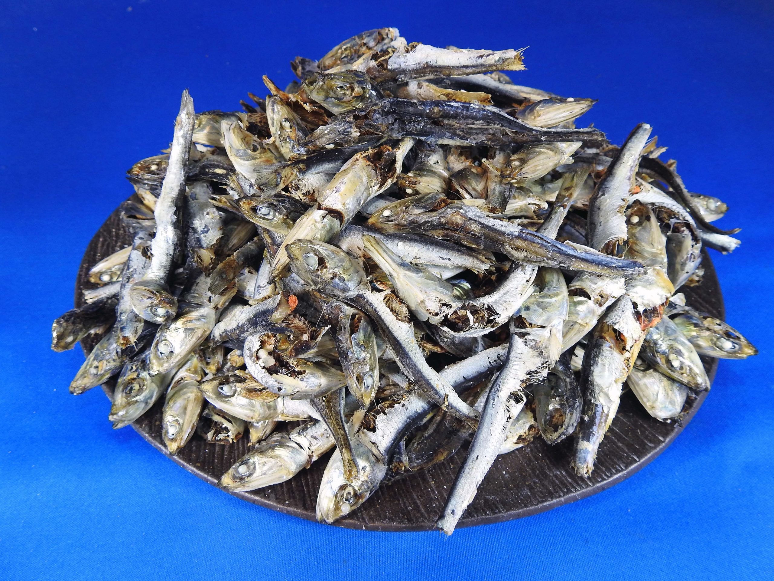 煮干しいわし(牛深) 大羽 9kg 【訳あり特価】