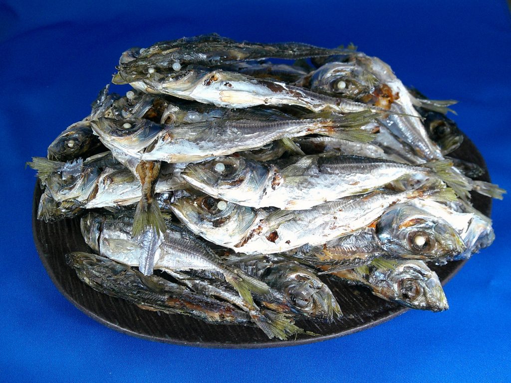 アジ煮干し(牛深) 8kg