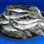 アジ煮干し(牛深) 8kg