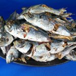 【訳あり特価】アジ煮干し(牛深) 7kg