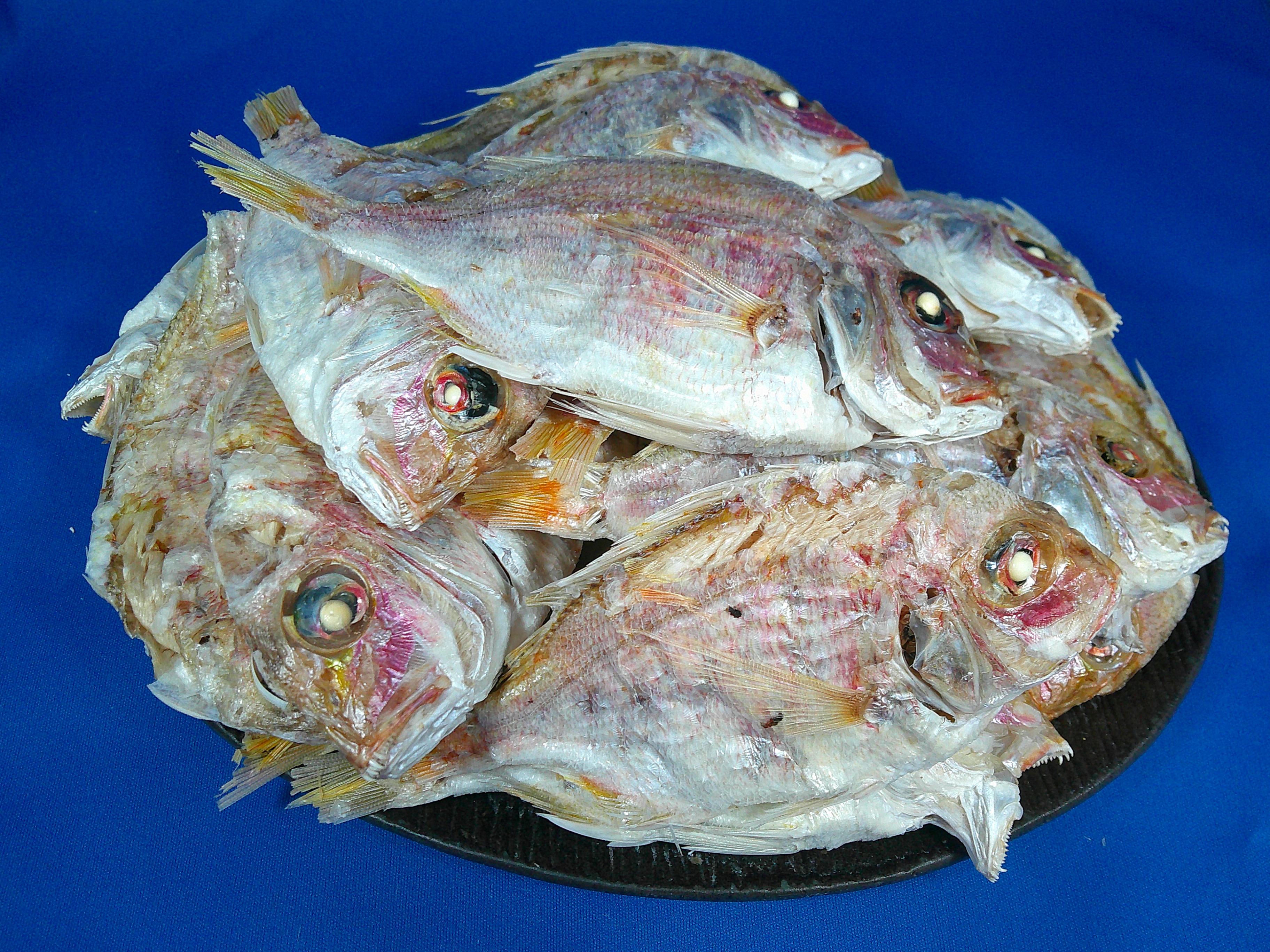 鯛煮干し 5kg
