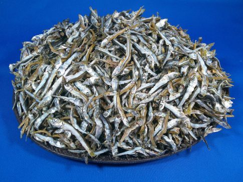 うるめ煮干し(平子・タレ混) 5kg