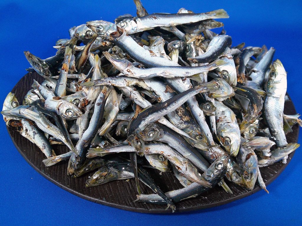 うるめ煮干し(平子・タレ混：長崎) 8.5kg【訳あり特価】｜