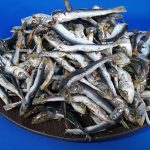 うるめ煮干し(平子・タレ混:長崎) 8.5kg【訳あり特価】|