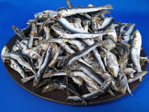 うるめ煮干し(平子・タレ混：長崎) 8.5kg【訳あり特価】｜