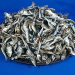 平子煮干し 1kg