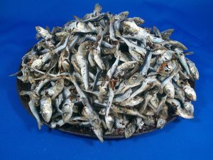 平子煮干し(うるめ・タレ混:牛深) 9kg