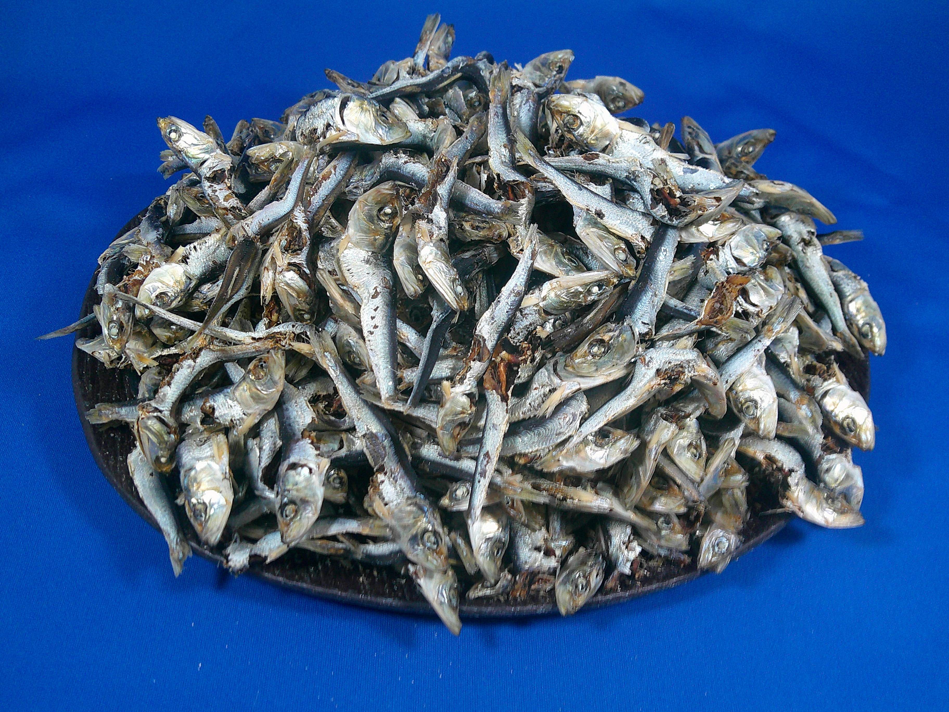 平子煮干し 1kg