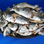 アジ煮干しを本日より販売いたします。《熊本牛深産》【新商品】