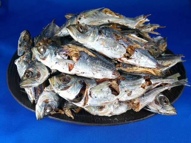 アジ煮干しを本日より販売いたします。《熊本牛深産》【新商品】