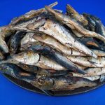 いわし節・うるめ節とは|煮干しとの違いと、脂のある魚を節にする理由