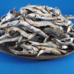煮干しいわし(牛深)を本日より販売いたします。【再入荷】《新物入荷》