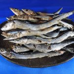 サンマ煮干しを本日より販売いたします。《熊本県牛深加工》【新商品】