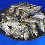 シマアジ煮干し 1kg 《レア煮干し》 【今週のお試し特価】(6月8日早朝迄)
